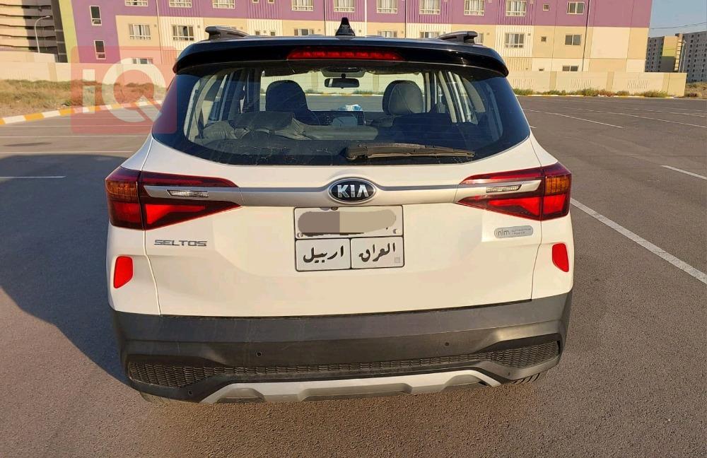 کیا سێلتۆس